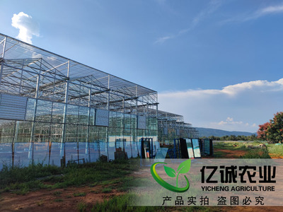 青州億誠農業科技 以匠心工程連接世界，溫室大棚制造與出口的現場實踐